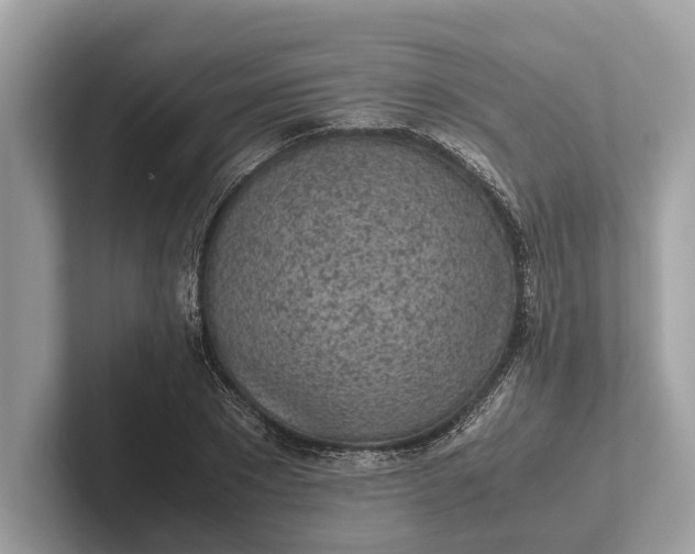 X0000101390881200807211011