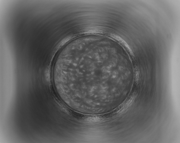 X0000101390882200807211011