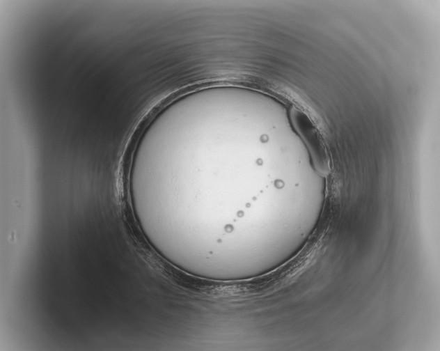 X0000101390883200807211011