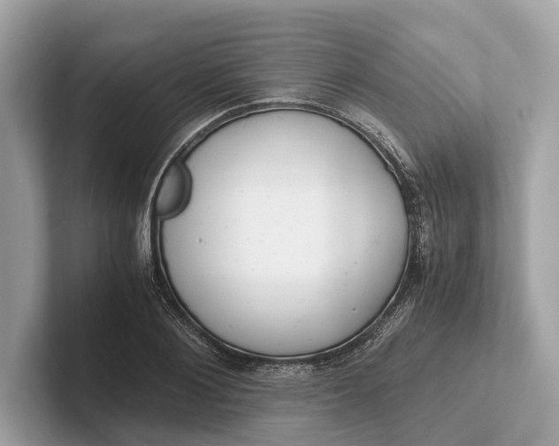 X0000101390884200807211011