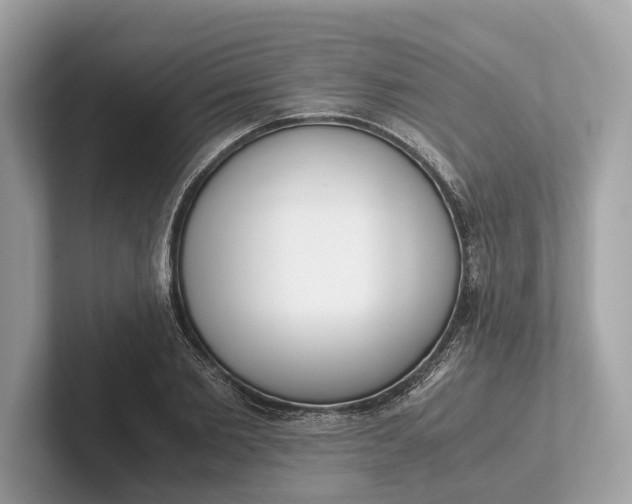 X0000101390885200807211011