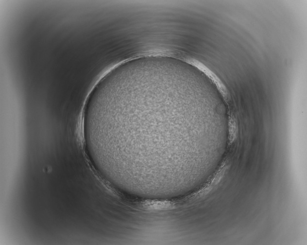 X0000101390886200807211011