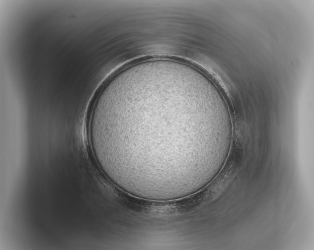 X0000101390887200807211011