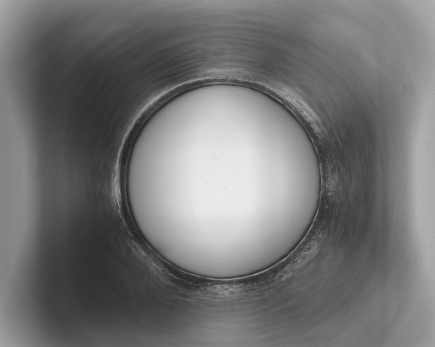 X0000101390888200807211011