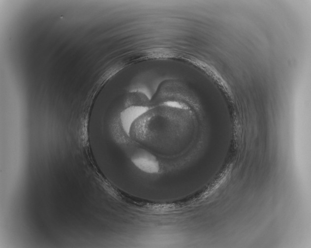 X0000101390889200807211011