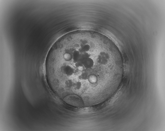 X0000101390891200807211011