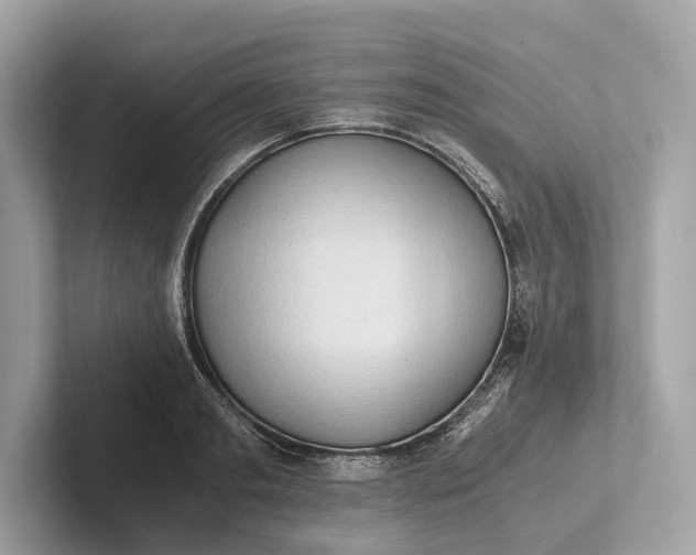 X0000101390893200807211011