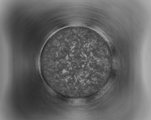 X0000101390895200807211011