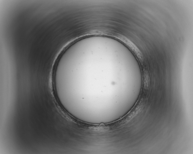 X0000101390896200807211011