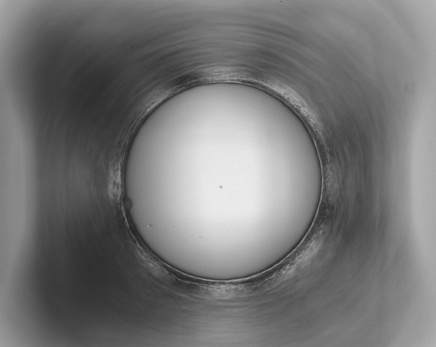 X0000101390897200807211011