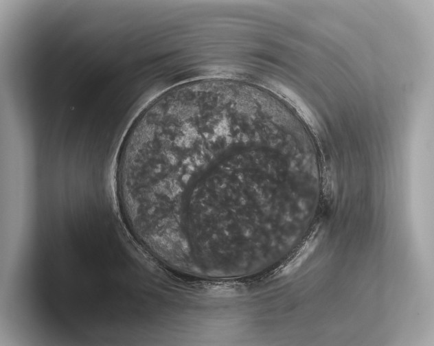 X0000101390899200807211010