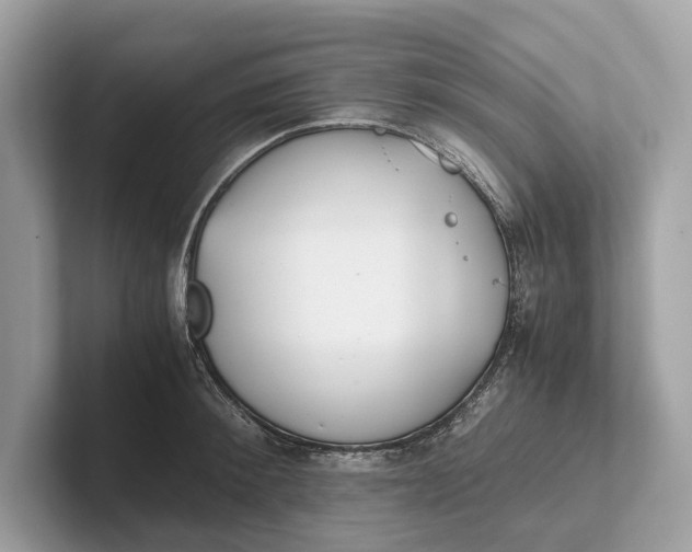 X0000101390900200807211010