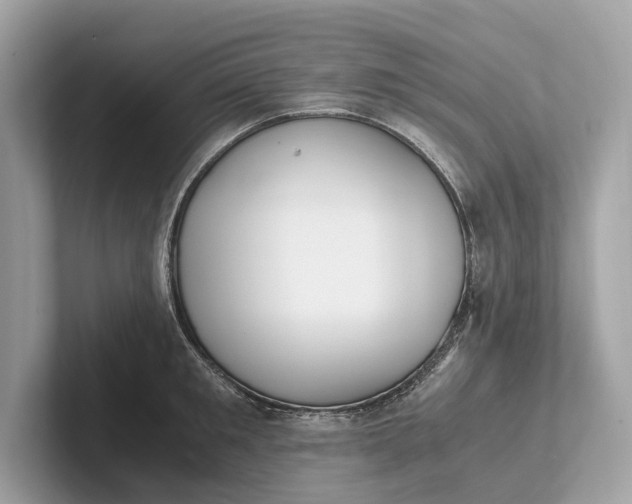 X0000101390901200807211010