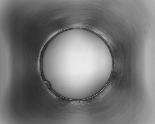 X0000101390902200807211010