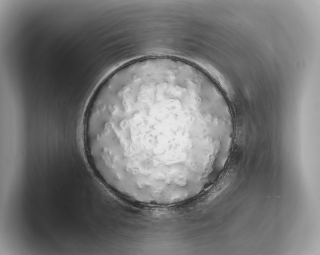 X0000101390903200807211010