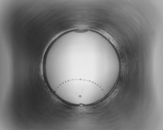 X0000101390904200807211010