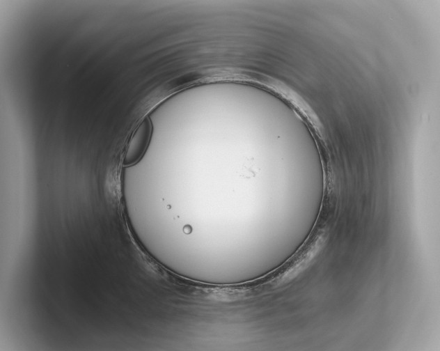 X0000101390905200807211010