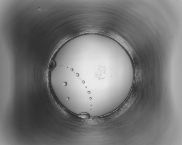 X0000101390906200807211010