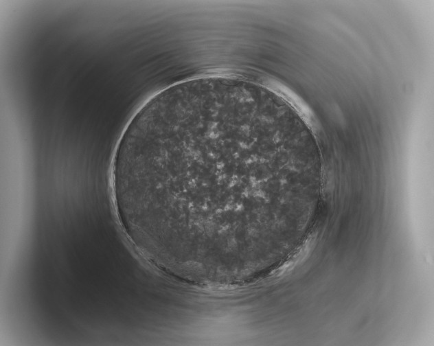 X0000101390907200807211010