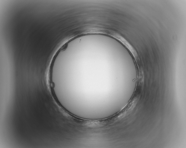 X0000101390909200807211010