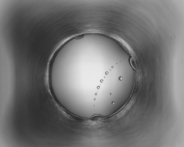 X0000101390910200807211010