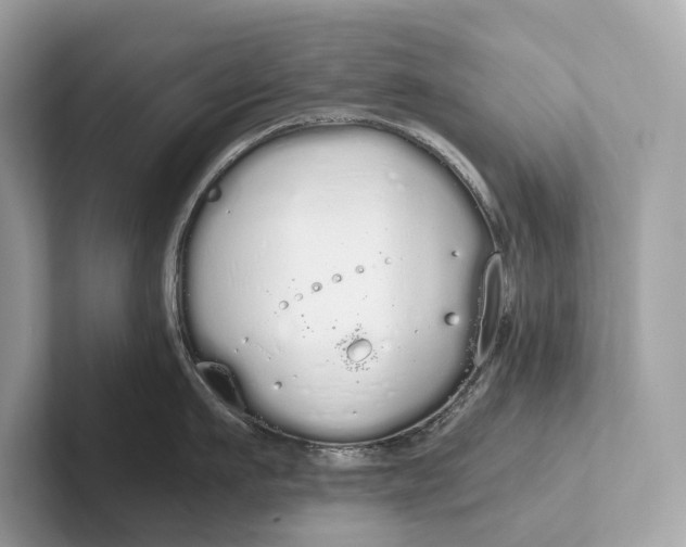 X0000101390911200807211010