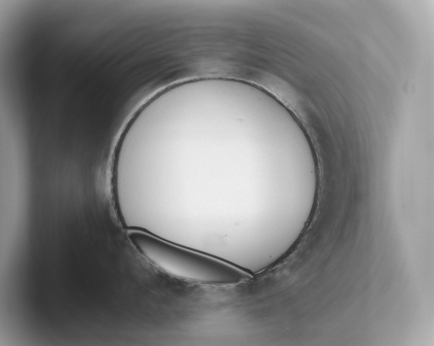 X0000101390912200807211010