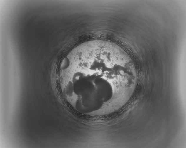 X0000101390913200807211010