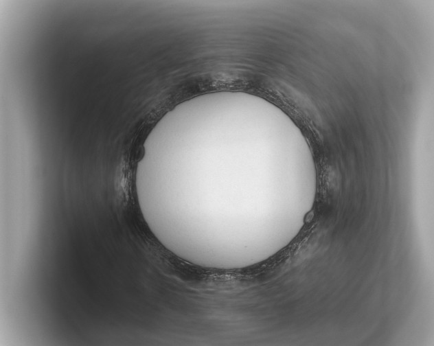 X0000101390914200807211010