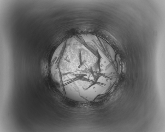 X0000101390915200807211010