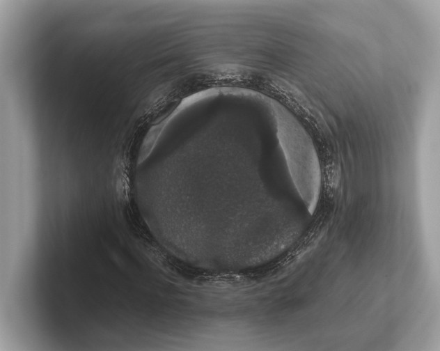 X0000101390916200807211010