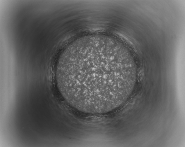 X0000101390917200807211010