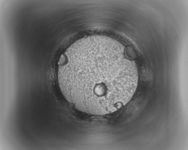 X0000101390918200807211010