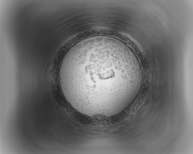 X0000101390919200807211010