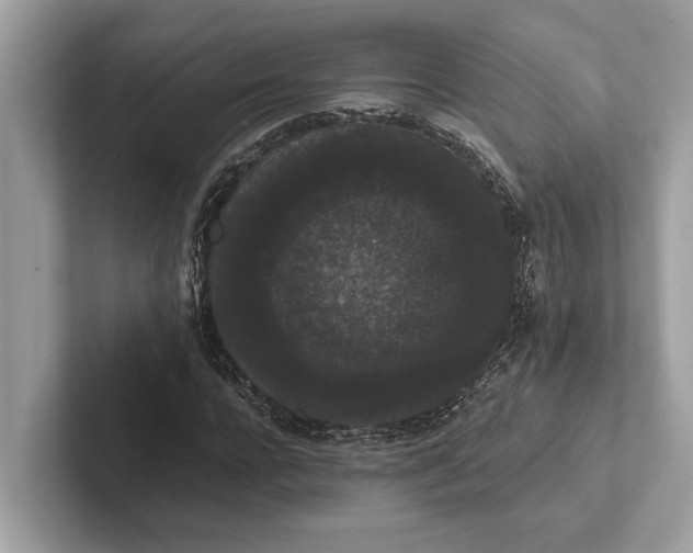 X0000101390920200807211010