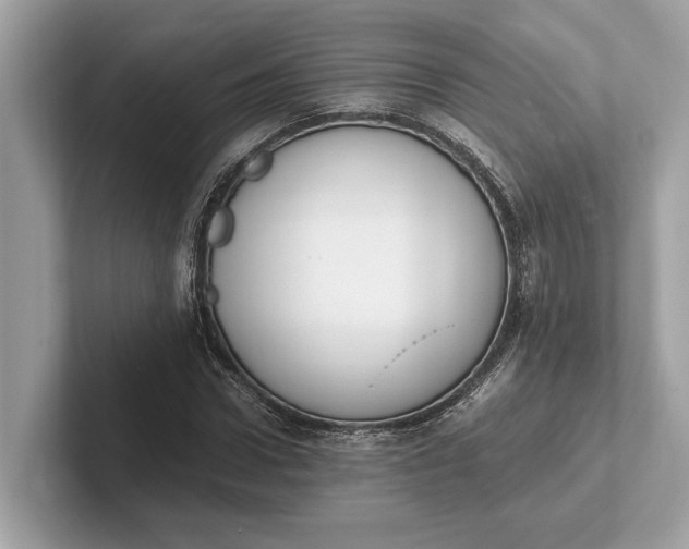 X0000101390922200807211010