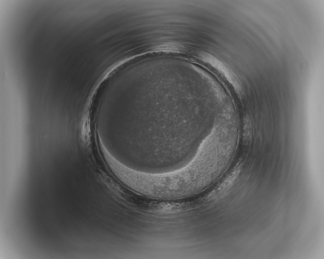 X0000101390923200807211010