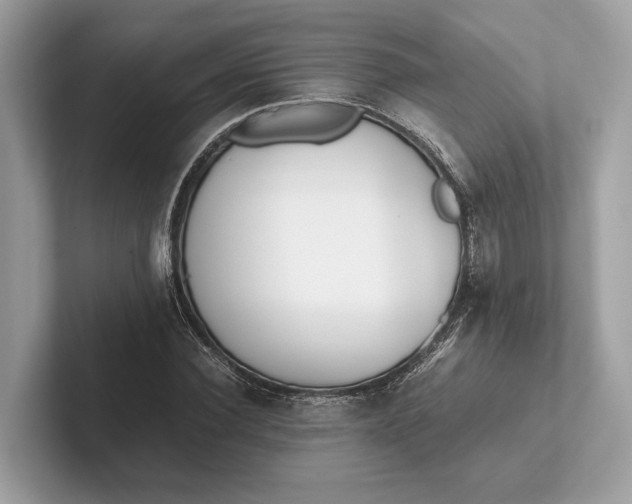 X0000101390924200807211010