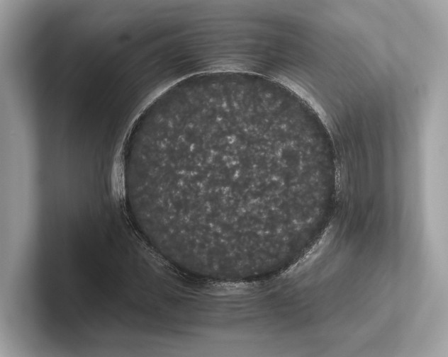 X0000101390925200807211010