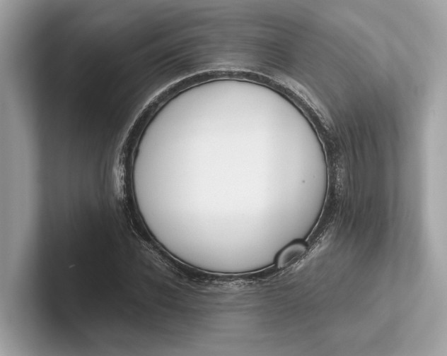 X0000101390926200807211010