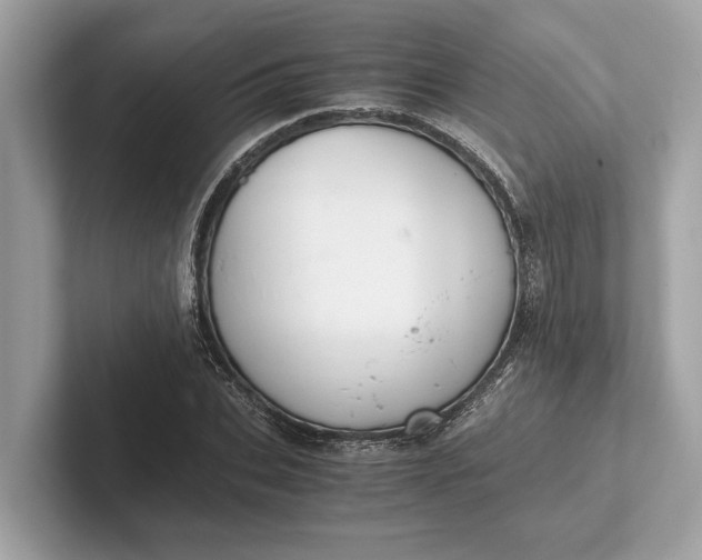 X0000101390927200807211010