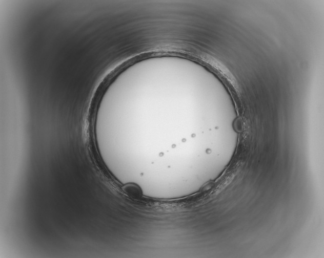 X0000101390928200807211010