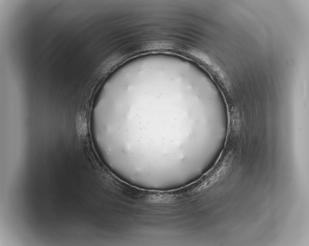 X0000101390929200807211010