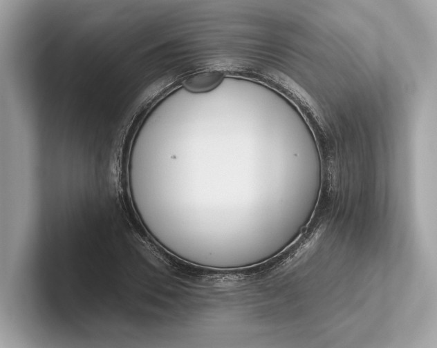 X0000101390930200807211010