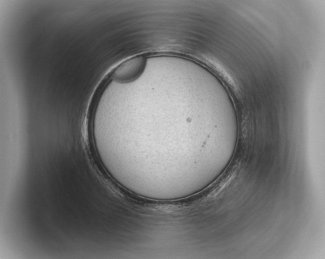 X0000101390932200807211010