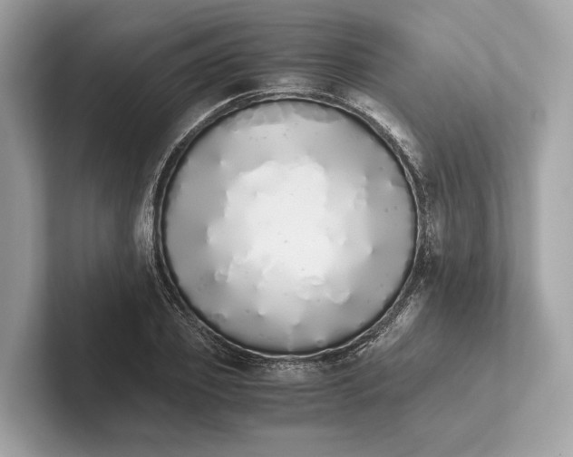 X0000101390933200807211010