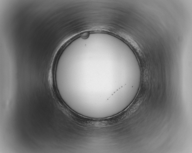 X0000101390936200807211010