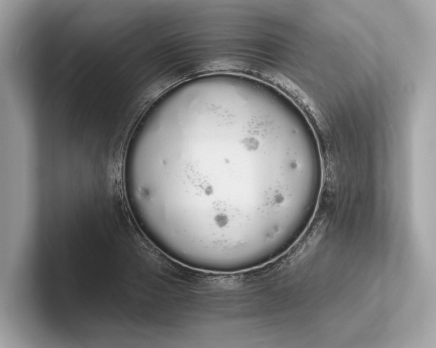 X0000101390937200807211010