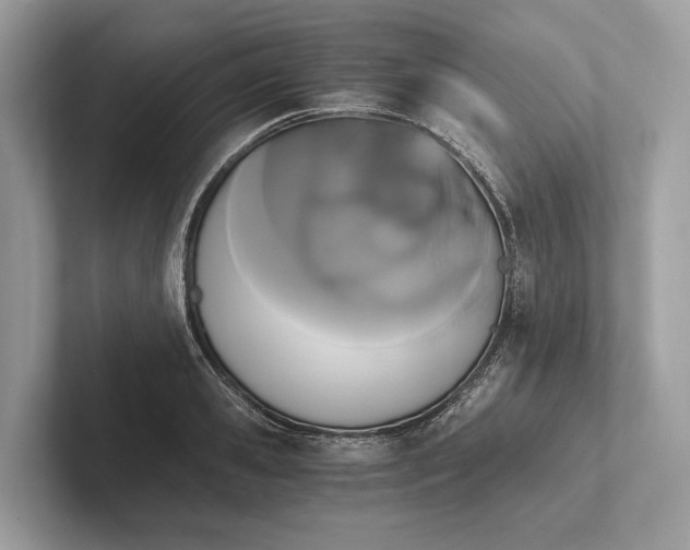 X0000101390941200807211010