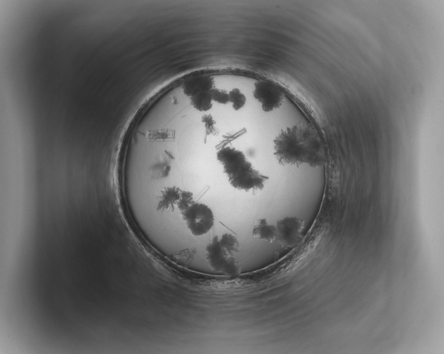 X0000101390943200807211010